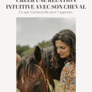 Créer une relation intuitive avec son cheval.